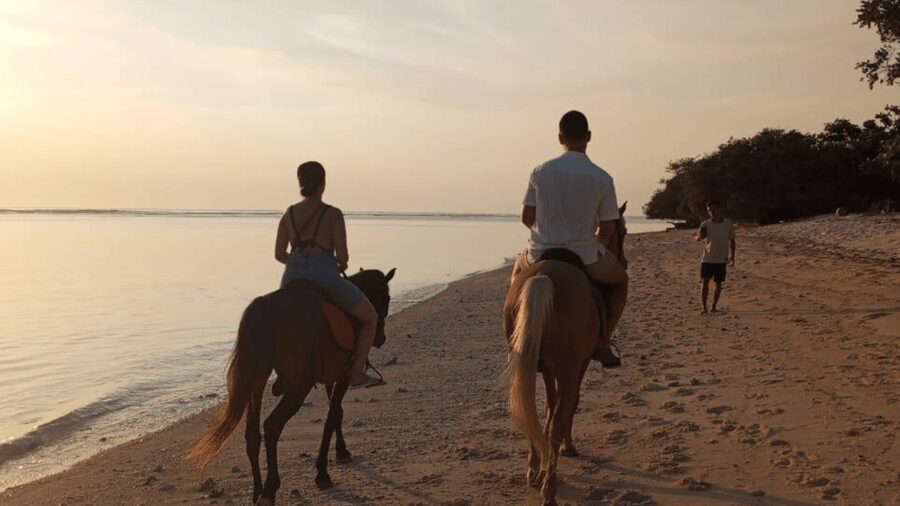 Gili Trawangan: Horse Riding on the Beach - Guides, instruction, and the beginner question