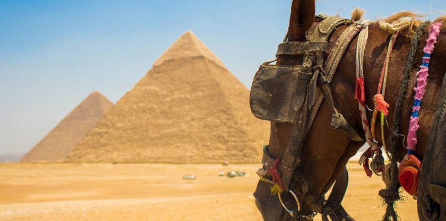 Giza: Arabian Horse Tour Around the Giza Pyramids - Reaching the Great Sphinx From the Desert Side