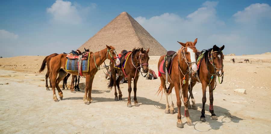 Giza: Arabian Horse Tour Around the Giza Pyramids - Horseback Riding, Camel Riding, or Both?