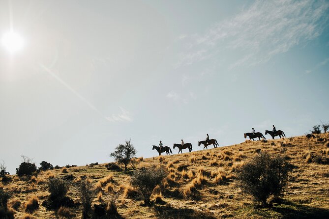 Gold Discovery Trail Horse Trek Cardrona - Most popular! - Key points to know before booking
