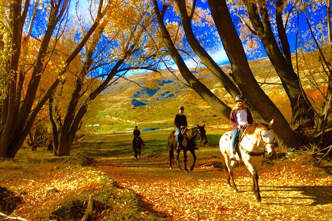 Gold Discovery Trail Horse Trek Cardrona - Most popular! - Why this Cardrona ride feels different from a basic horse trek