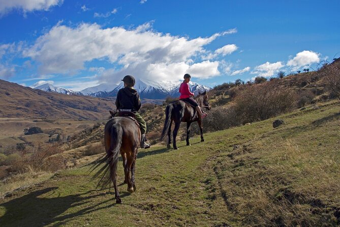 Gold Discovery Trail Horse Trek Cardrona - Most popular! - Meeting your horse and learning the basics