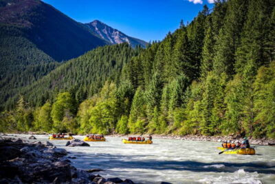 Golden, BC: Kicking Horse River Half Day Whitewater Rafting