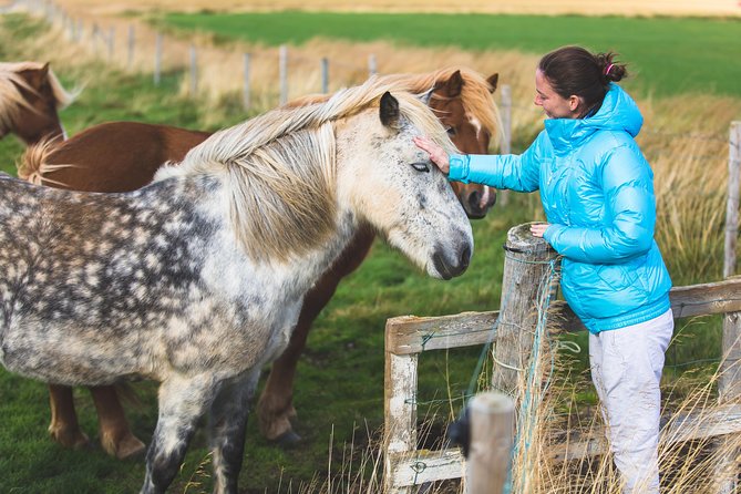 Golden Circle & Viking Horse Experience - Is the $191 price fair?