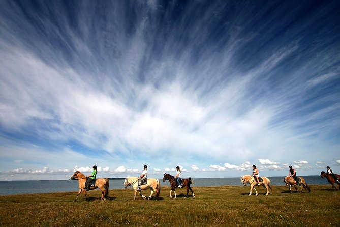 Golden Circle & Viking Horse Experience - Who should book this combination?