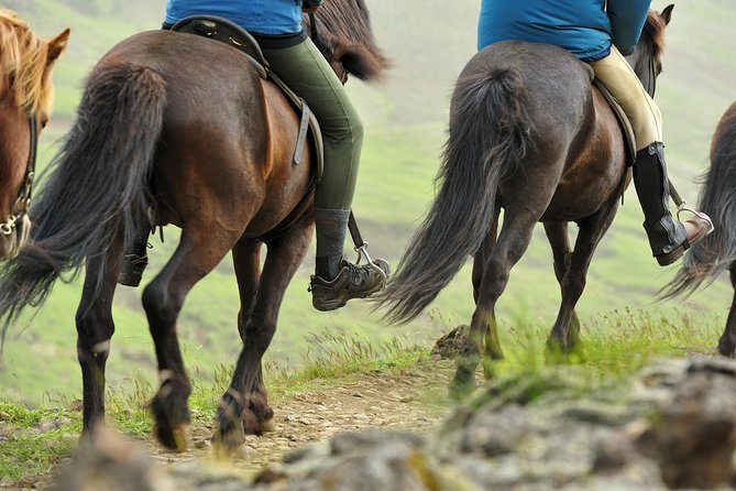 Golden Circle & Viking Horse Experience - Gullfoss, the waterfall that earns its place