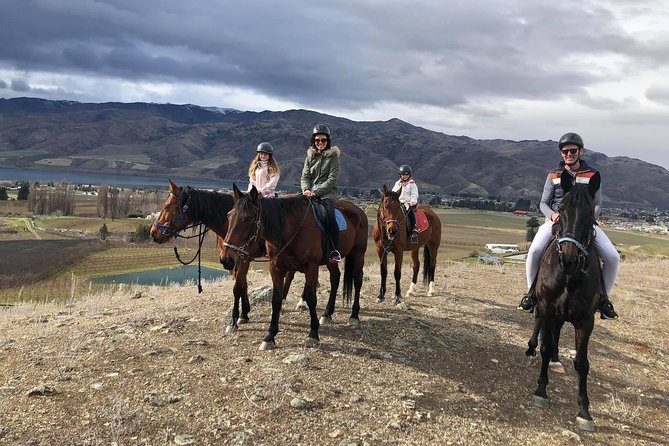Golden Hills Horse Trek in Central Otago - From Cromwell orchards to the hills above Lake Dunstan