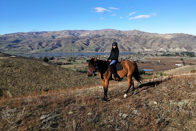 Golden Hills Horse Trek in Central Otago - Meeting the horses and settling into the ride