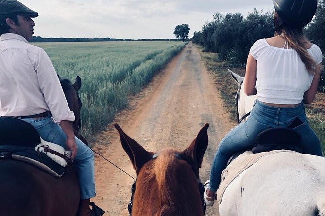 Granada & Sierra Nevada Horse Riding Tour - Meeting the family-run Andalusian ranch