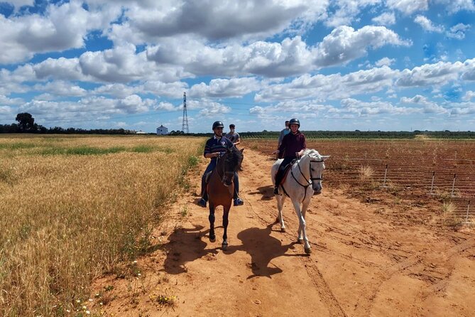 Granada & Sierra Nevada Horse Riding Tour - What the small group changes