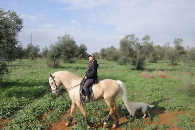 Granada & Sierra Nevada Horse Riding Tour - The value of the $150.51 price