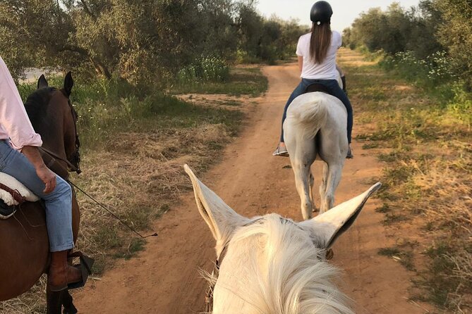 Granada & Sierra Nevada Horse Riding Tour - Practical clothing and riding advice