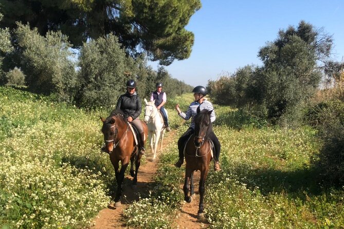 Granada & Sierra Nevada Horse Riding Tour - What makes the experience feel local