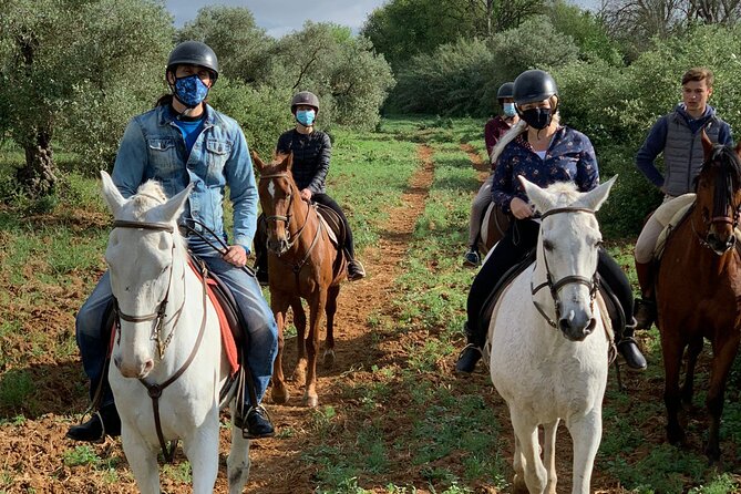 Granada & Sierra Nevada Horse Riding Tour - Riding below the mountains