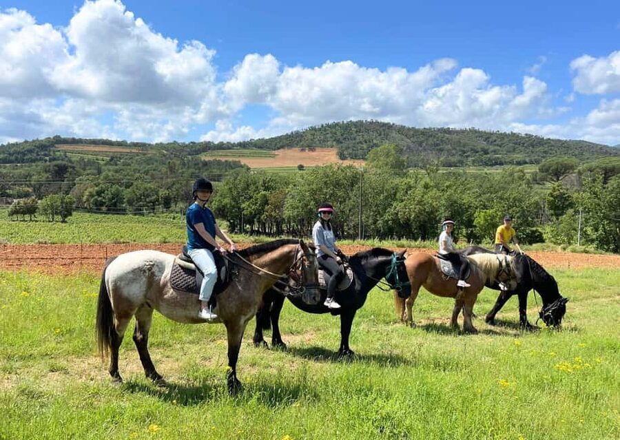 Grimaud: Horseback Riding & Wine Tasting in Maures Forest - Key points to know before booking