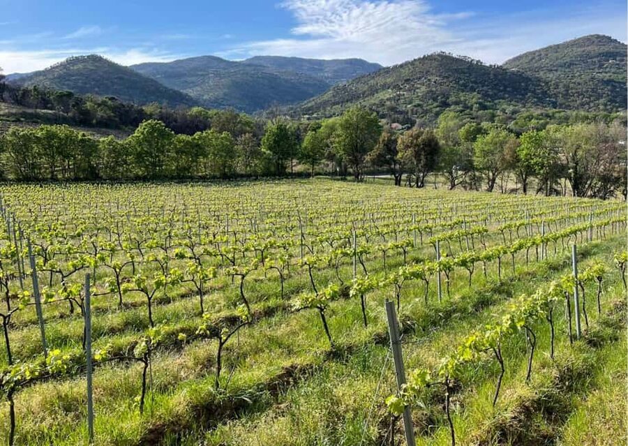 Grimaud: Horseback Riding & Wine Tasting in Maures Forest - Leaving the coast for Grimaud’s countryside