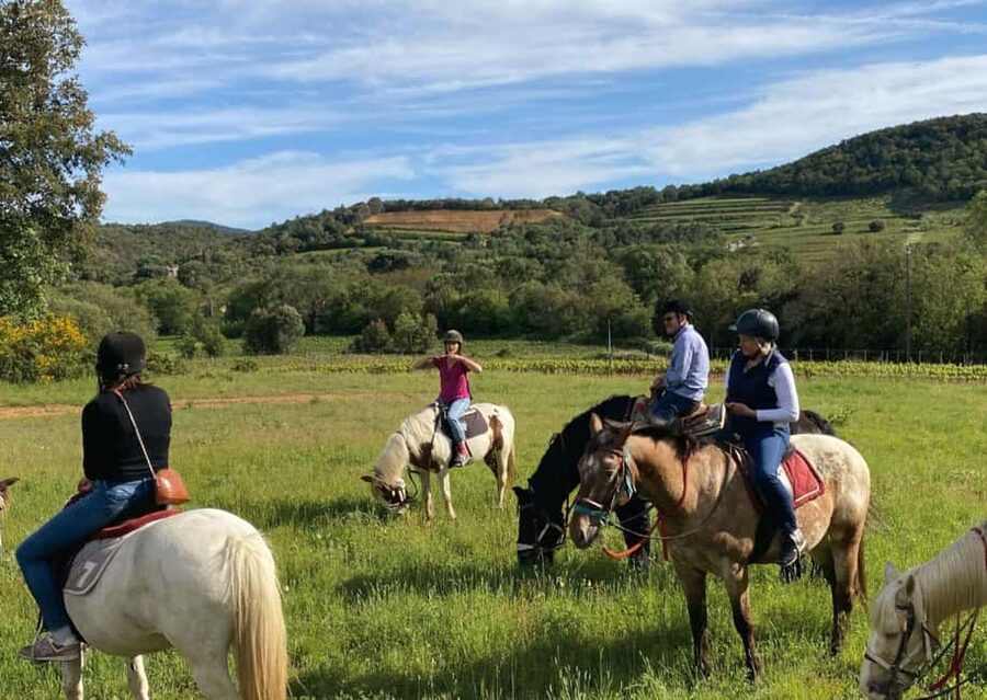 Grimaud: Horseback Riding & Wine Tasting in Maures Forest - Guide quality and group atmosphere