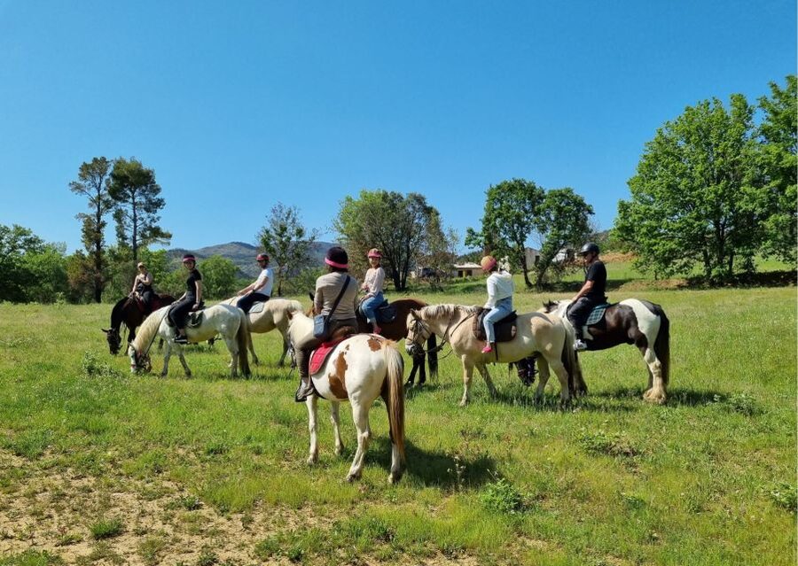 Grimaud: Horseback Riding & Wine Tasting in Maures Forest - The practical verdict