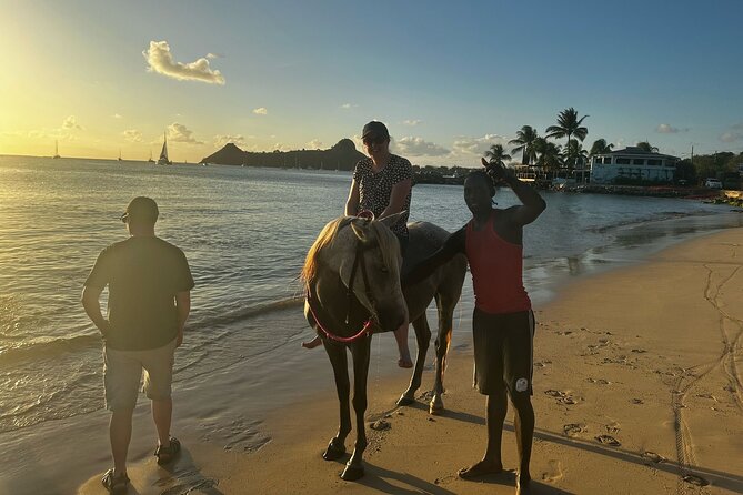 Gros Islet Village Horseback Riding run with Dore's riding Stable - Horses, Guides, Foals, and Silver