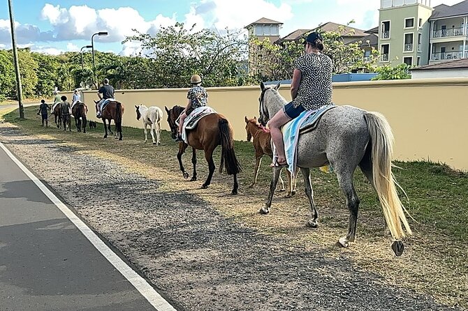 Gros Islet Village Horseback Riding run with Dore's riding Stable - Is Two Hours Worth $120?