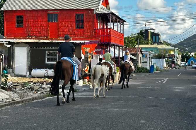Gros Islet Village Horseback Riding run with Dore's riding Stable - Who Will Enjoy This Ride Most?
