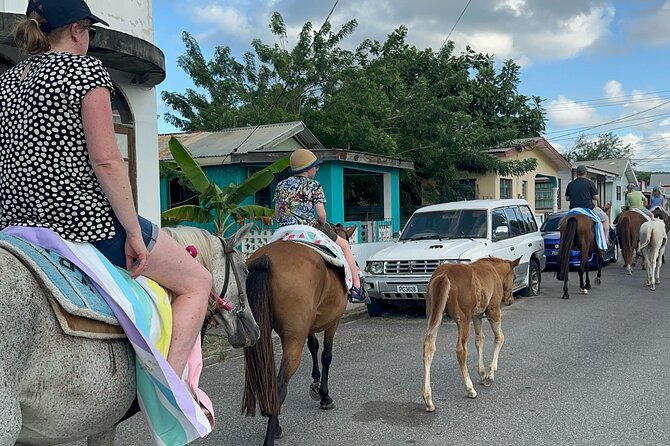 Gros Islet Village Horseback Riding run with Dore's riding Stable - A Piton Beer Stop at a Local Bar
