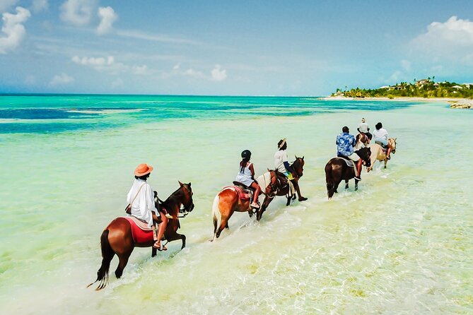Group Beach and Ocean Horseback Adventure in Providenciales - Key points to know before you book