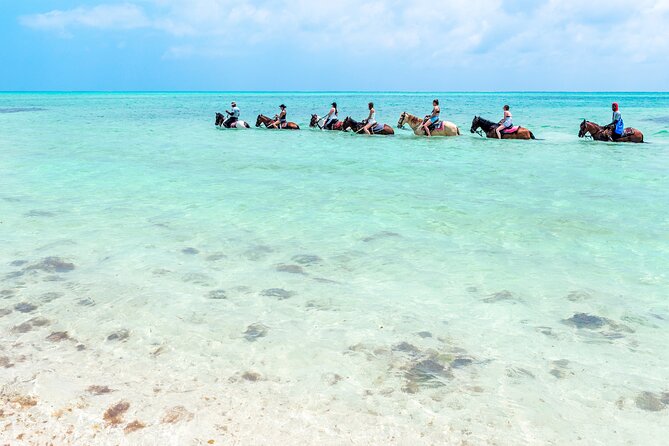 Group Beach and Ocean Horseback Adventure in Providenciales - Entering the clear water on horseback
