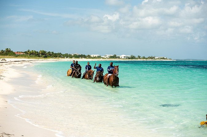 Group Beach and Ocean Horseback Adventure in Providenciales - Gentle horses and close guide support