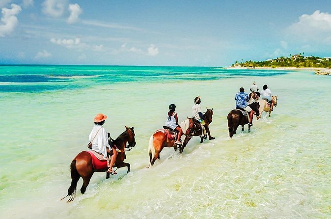 Group Beach and Ocean Horseback Adventure in Providenciales - What the one-hour schedule means