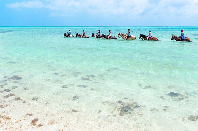 Group Beach and Ocean Horseback Adventure in Providenciales - Who will enjoy this Providenciales excursion