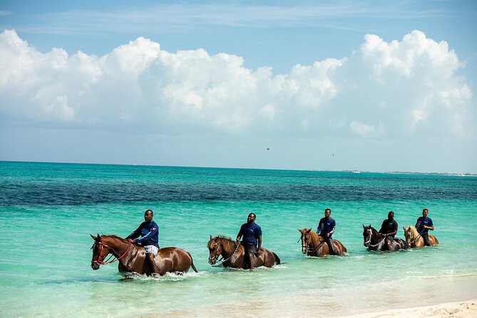Group Beach and Ocean Horseback Adventure in Providenciales - Small practical details that matter