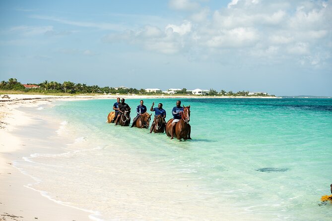 Group Beach and Ocean Horseback Adventure in Providenciales - How the experience earns its strong reputation