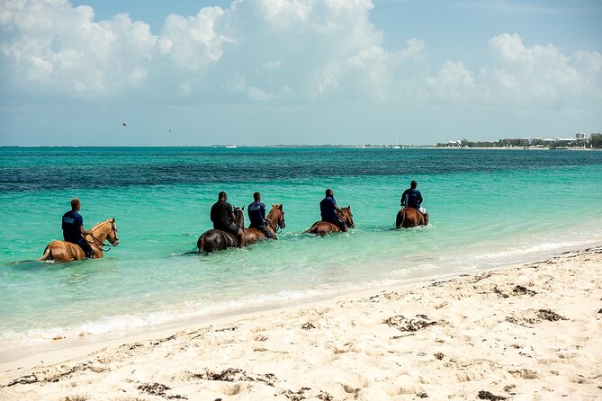 Group Beach and Ocean Horseback Adventure in Providenciales - The beach ride is more than a warm-up