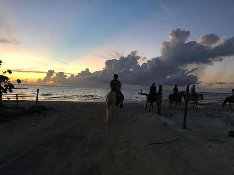 Group horseback ride on Holbox Island, Quintana Roo - Key points at a glance