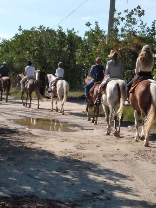 Group horseback ride on Holbox Island, Quintana Roo - Riding beyond Holbox town