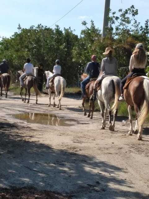 Group horseback ride on Holbox Island, Quintana Roo - Who should book this ride?