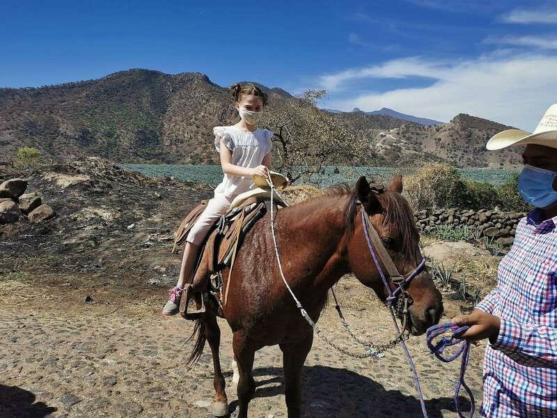 Guadalajara: Horse Riding on the Tequila Route with Tastings - Why this tequila day trip feels different