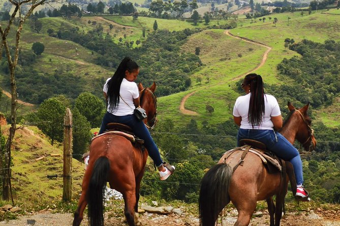 Guatape & Horse Ride & El Peñol Rock & Quaint Town From Medellin - The drive from Medellín and the value of a private car