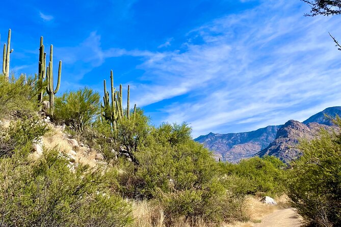 Guided 90 Min Horseback Ride Catalina State Park Coronado Forest - Getting matched with the right horse