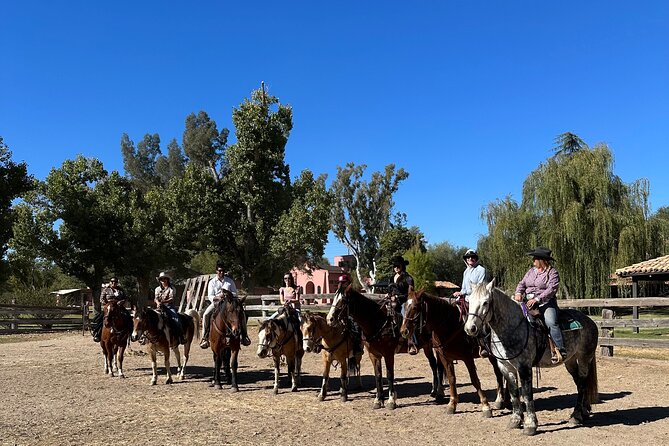 Guided 90 Min Horseback Ride Catalina State Park Coronado Forest - Coronado National Forest and the mountain backdrop