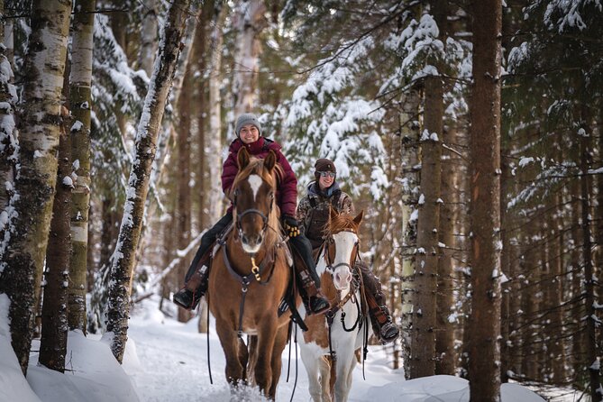 Guided Horse Riding in the Bay of Saint Paul Valley - Forest shade, snow, and changing conditions