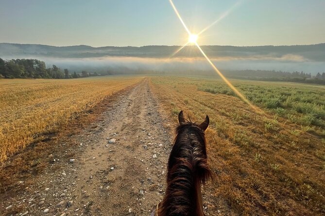 Guided Horse Riding in the Bay of Saint Paul Valley - What is included, and what you need to handle