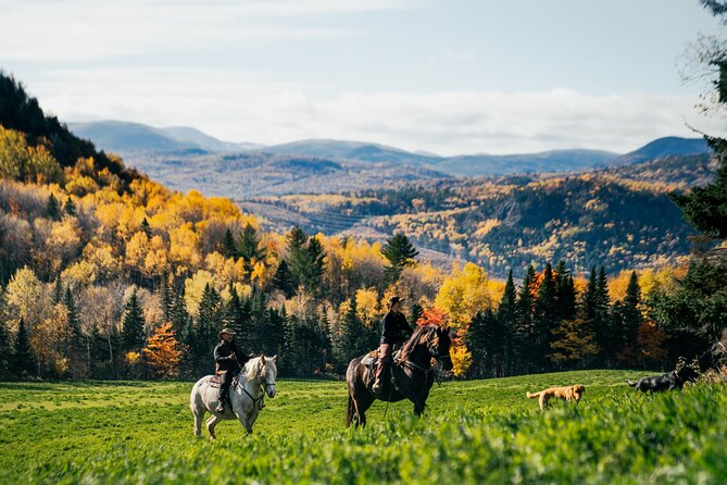 Guided Horse Riding in the Bay of Saint Paul Valley - Who should book this ride?