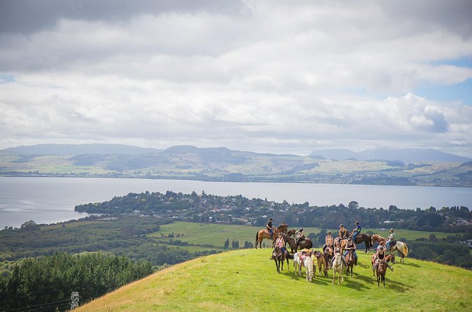 Guided Horse Trekking from Rotorua - Riding above Rotorua instead of circling it by road