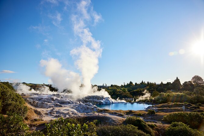 Guided Horse Trekking from Rotorua - The Lake Rotorua lookout is the payoff