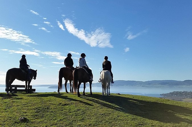 Guided Horse Trekking from Rotorua - What the horse adds to the Rotorua experience