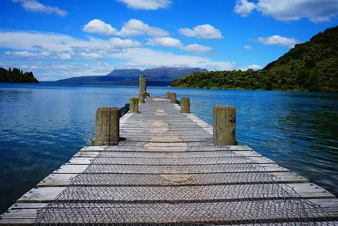 Guided Horse Trekking from Rotorua - The $68.26 price and what you receive