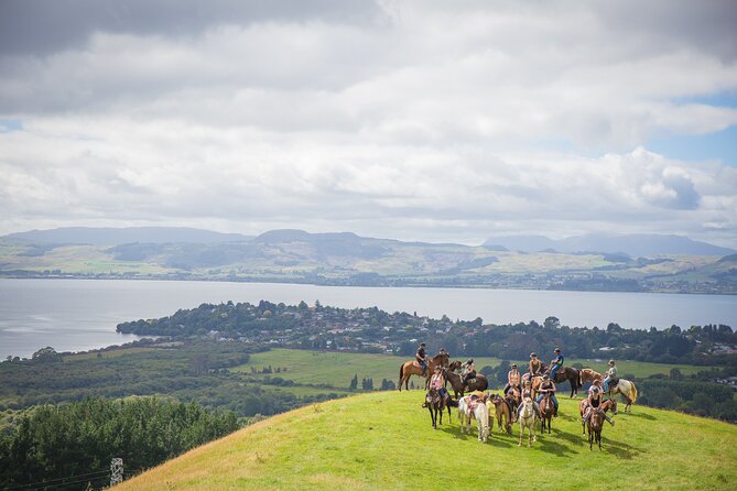Guided Horse Trekking from Rotorua - Getting ready at the paddock arena