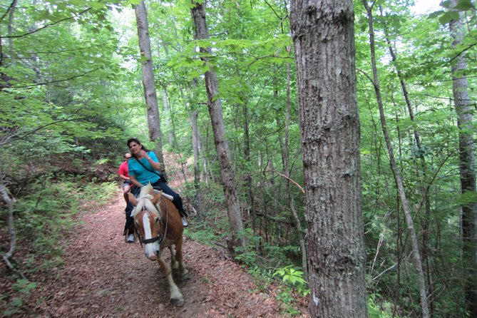 Guided Horseback Ride through Flame Azalea and Fern Forest - From 3,400 feet to 4,200 feet